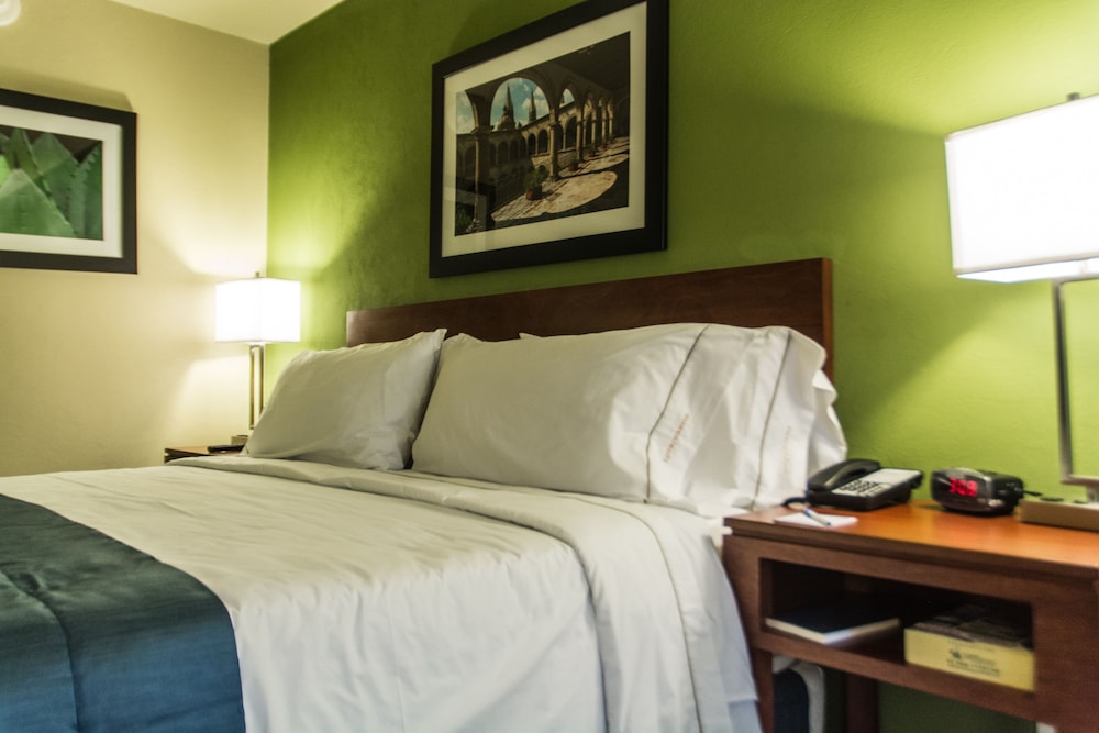 Holiday Inn Express Guadalajara Aeropuerto an IHG Hotel 24/58