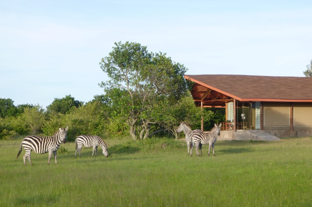 Simba & Oryx Nature Camp 9/12