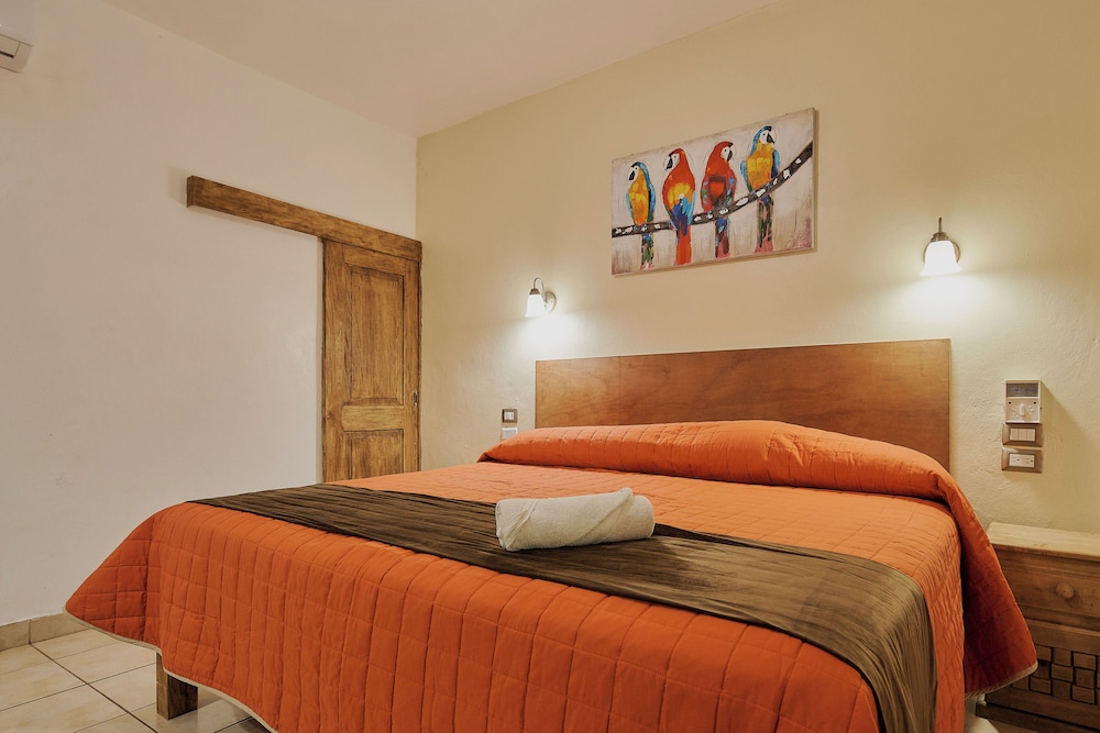 Hotel Cervantino 20/50