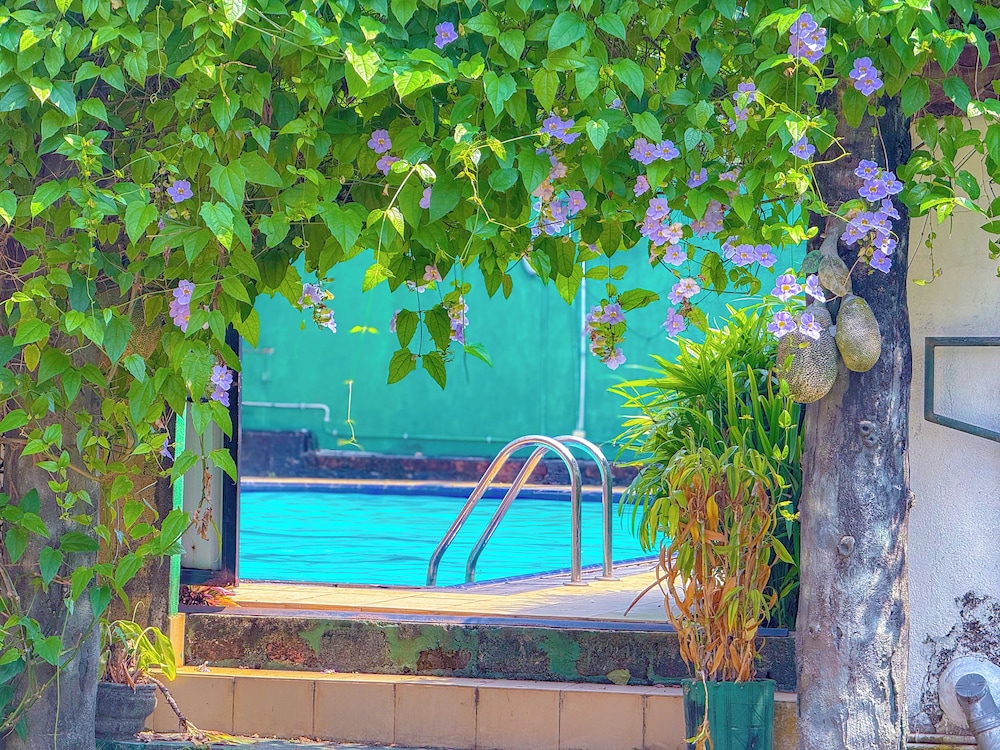 Green View Hotel 47/72