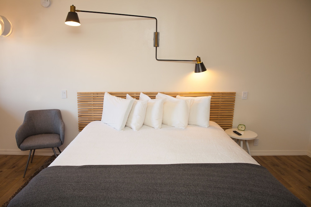 Room, Single, King Bed