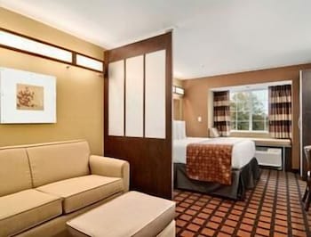 Microtel Inn & Suites By Wyndham Ozark 19/20
