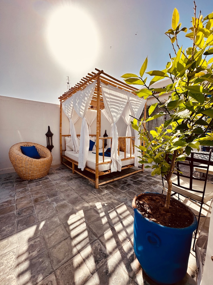 Riad Jardin Des Rêves 44/50
