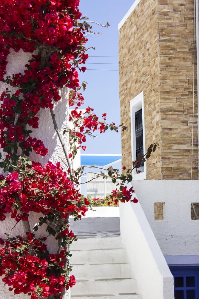 Naxos Holidays 57/64