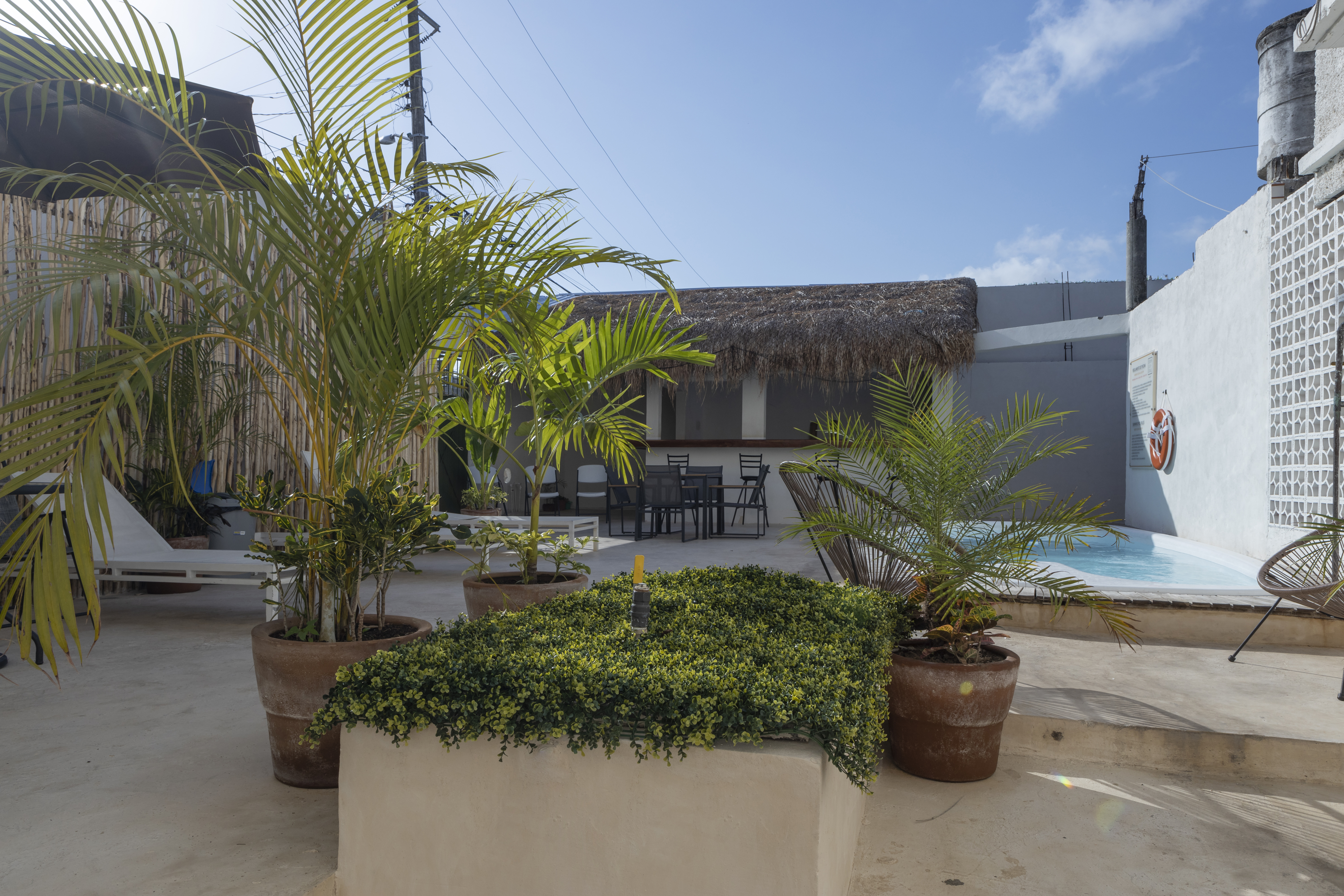 Soy Local Cancun 61/73