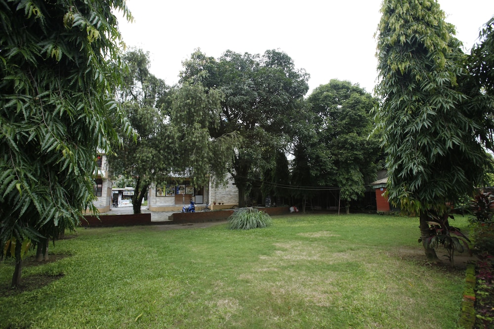 surroundings