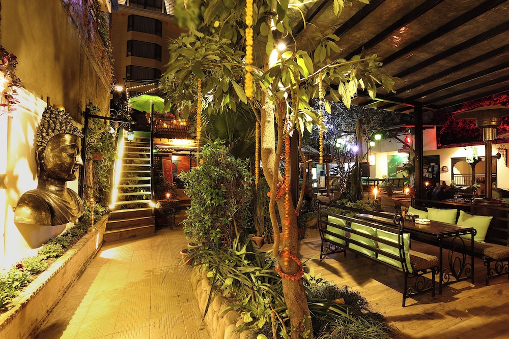 Hotel Himalayan Oasis 42/50
