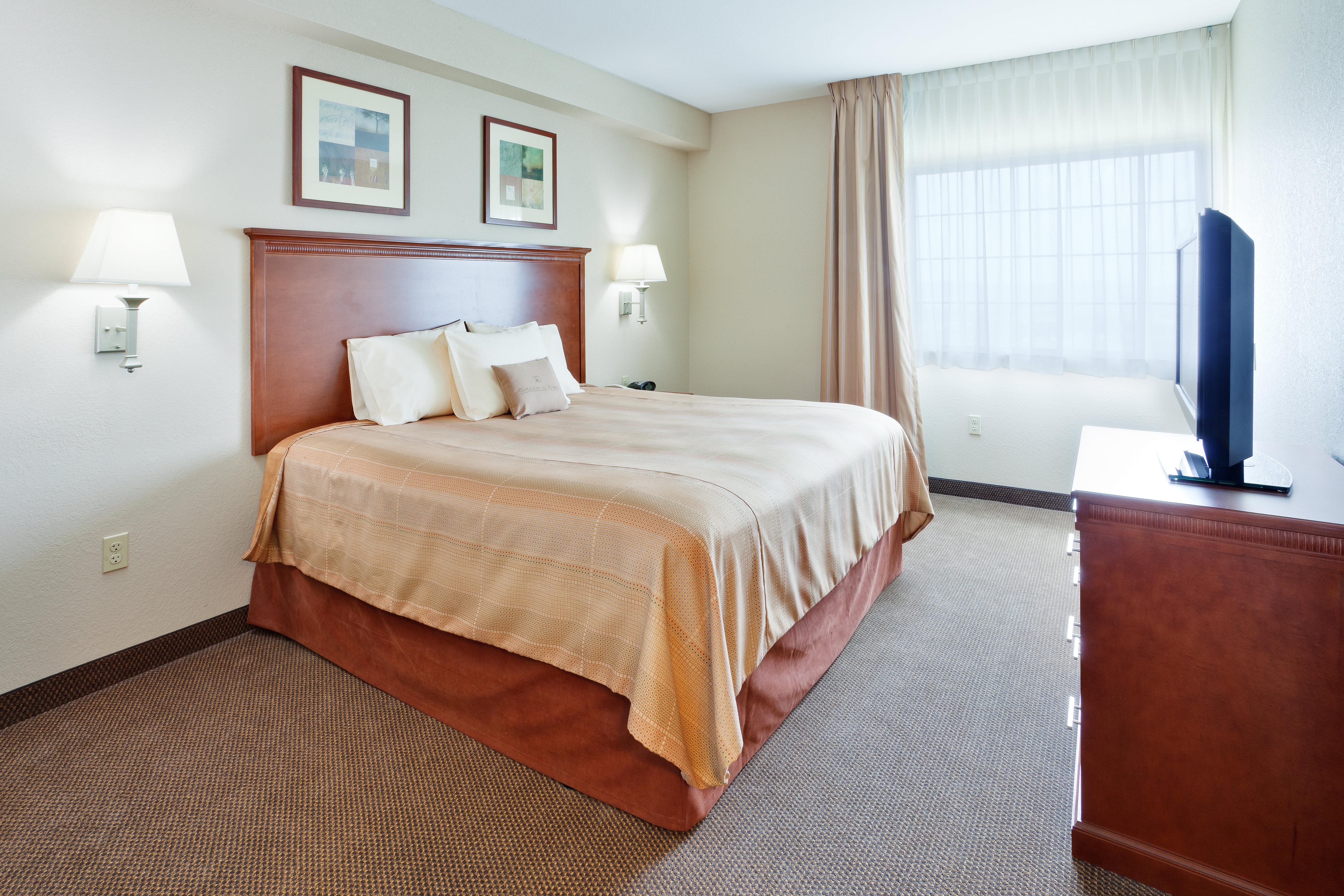Suite, Queen Bed