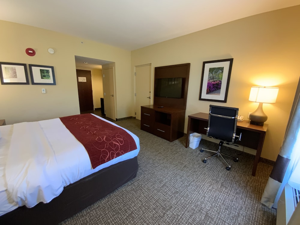 ROOM, KING BED, ACCESSIBLE