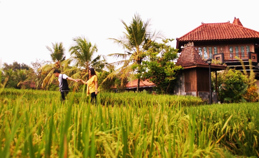 Java Village Resort 7/56