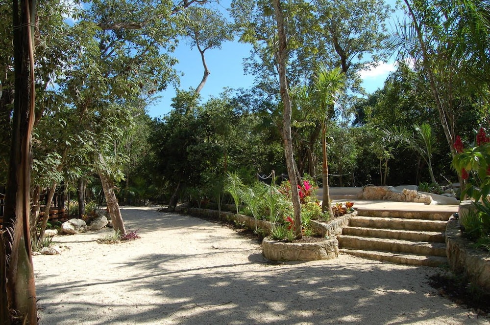 Reserva Ecologica Hacienda Cancun 20/24