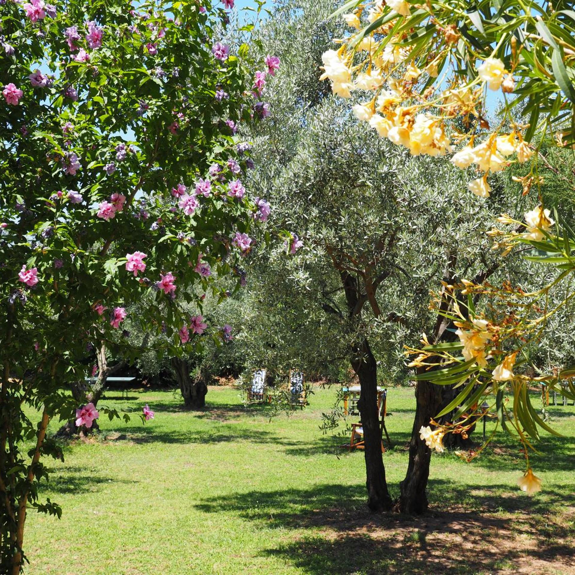 Emel Pension 38/50