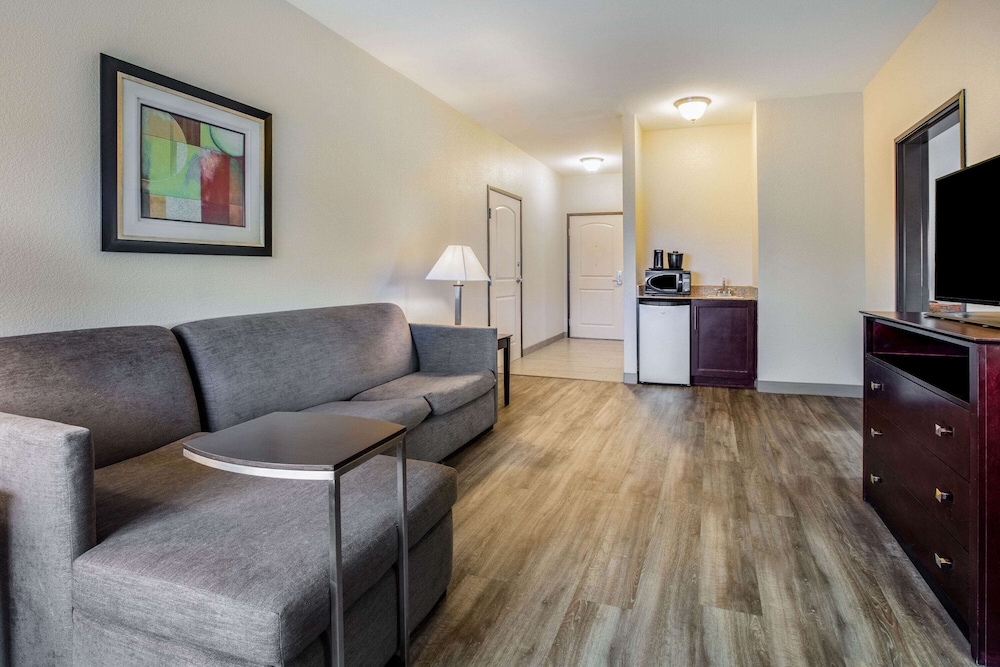 La Quinta Inn & Suites by Wyndham McKinney 31/45