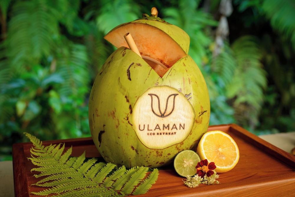 Ulaman Eco Luxury Resort 19/47