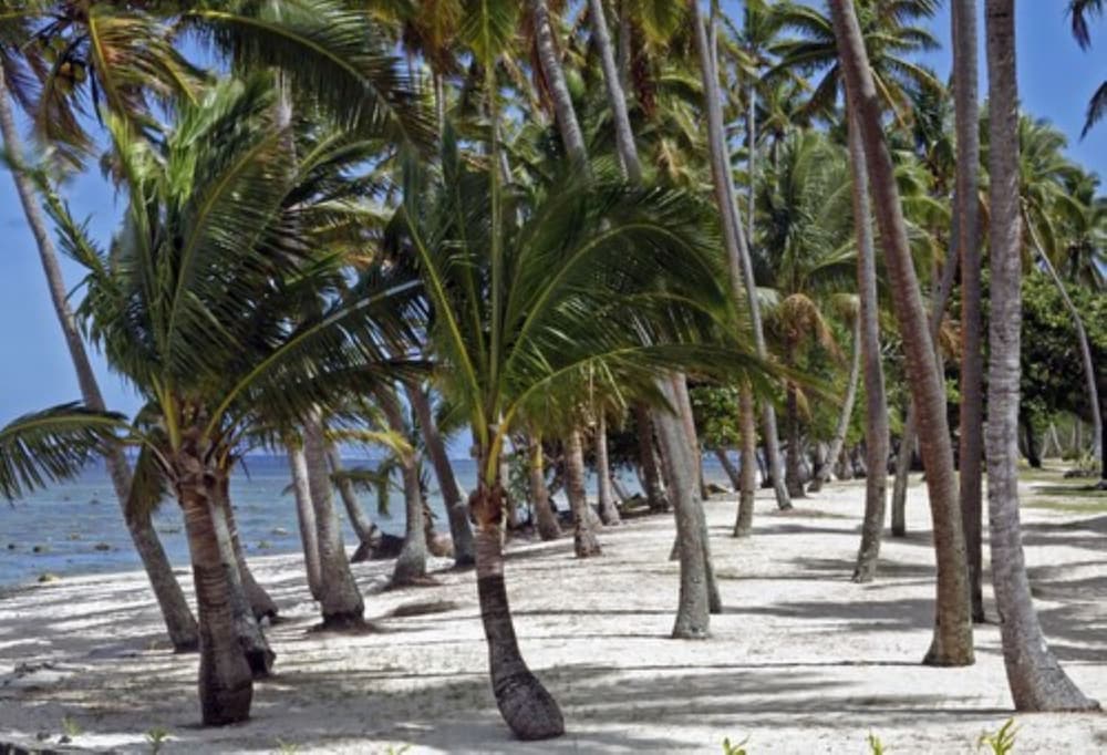 Tambua Sands Beach Resort 24/42