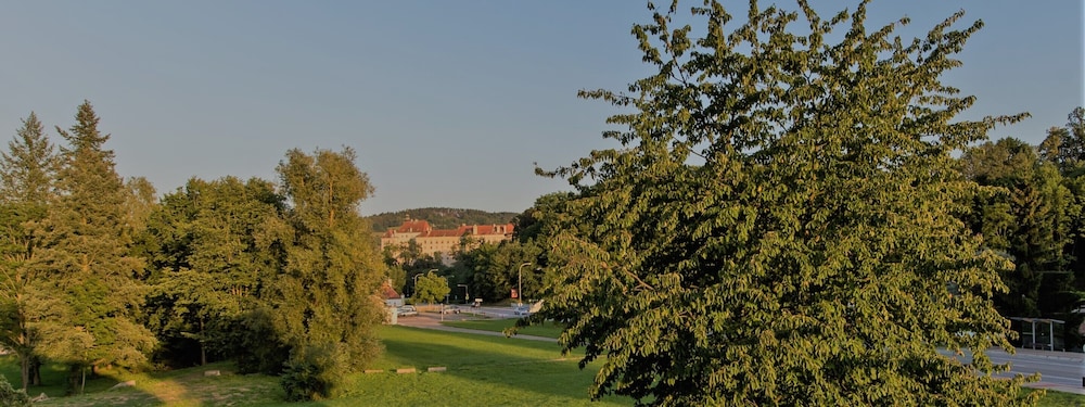 Pension Fialka 37/50