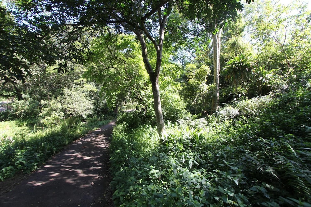 Cybele Lodge Bnb 29/38