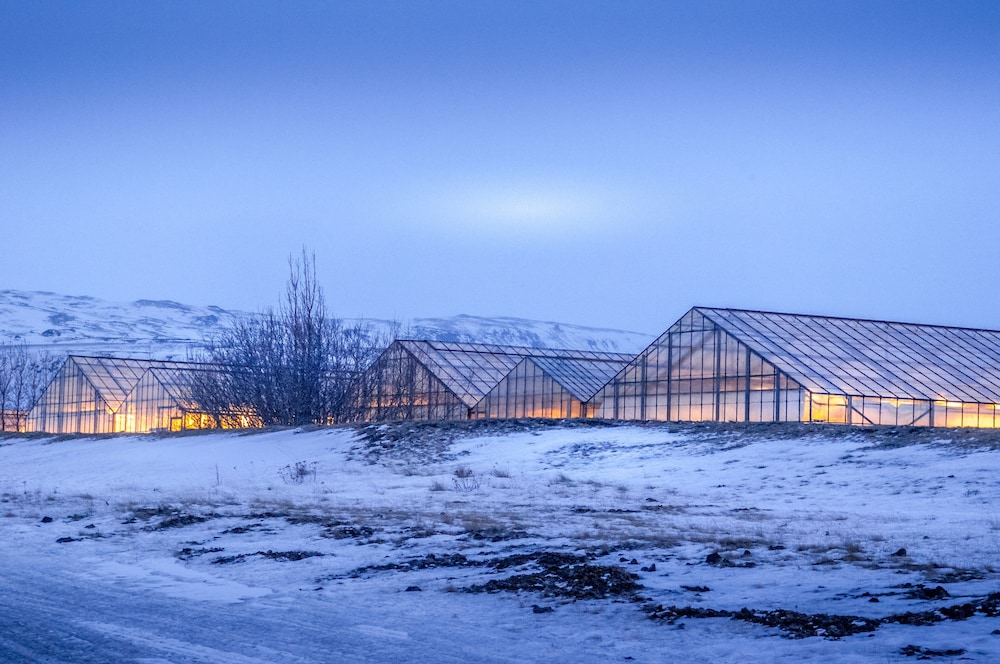 The Greenhouse Hotel 29/42