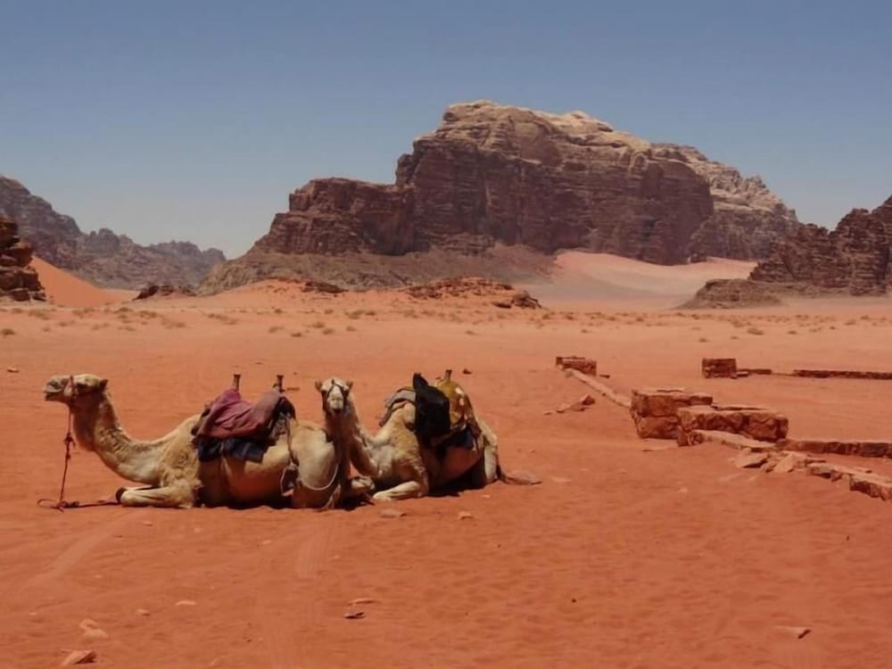 Desert Moon Camp 34/50