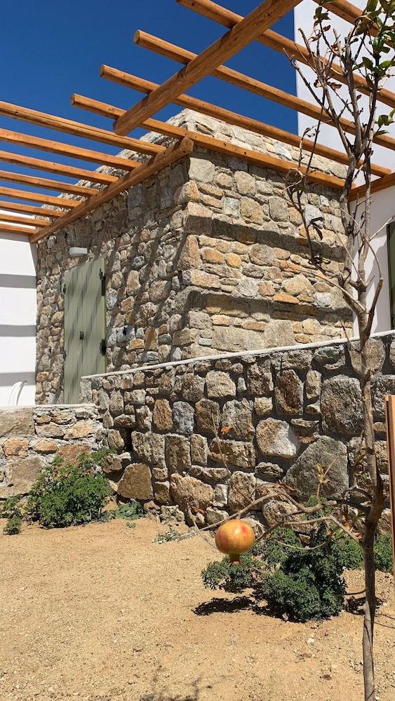 Alirene Mykonos 2/50