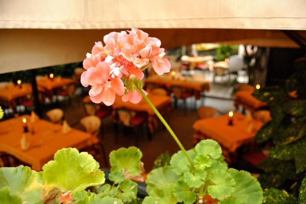 Ristorante Fiorentino酒店(Hotel Ristorante Fiorentino) 图片2