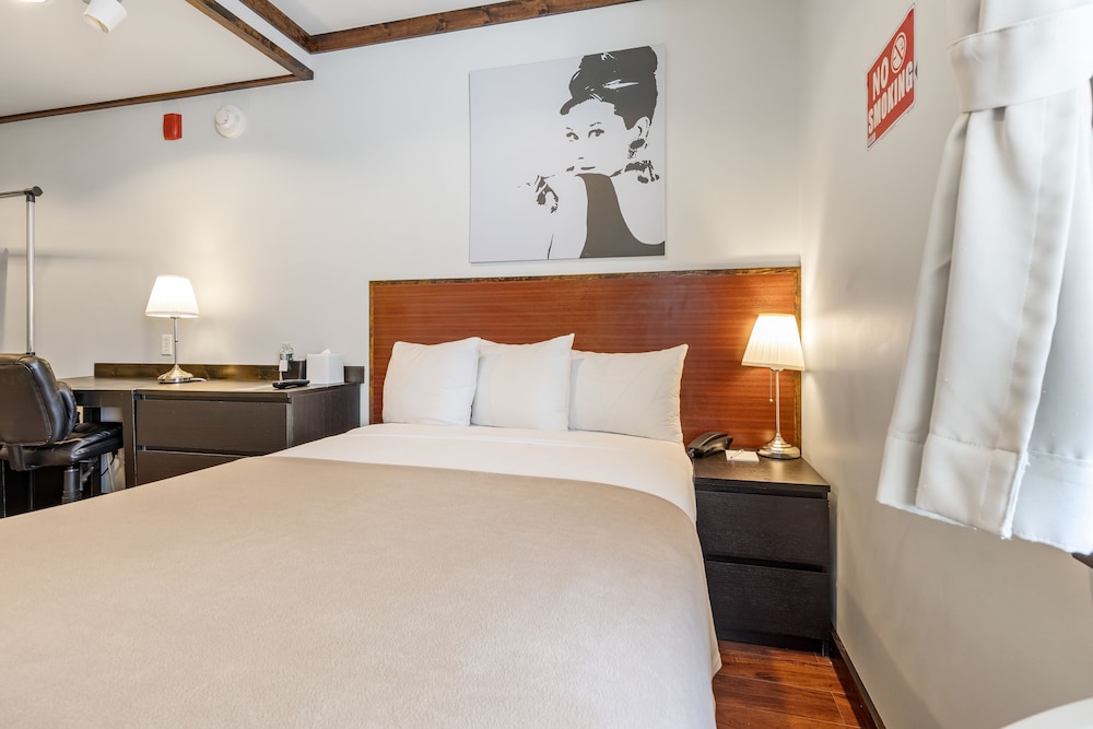 Lic Hotel 20/46