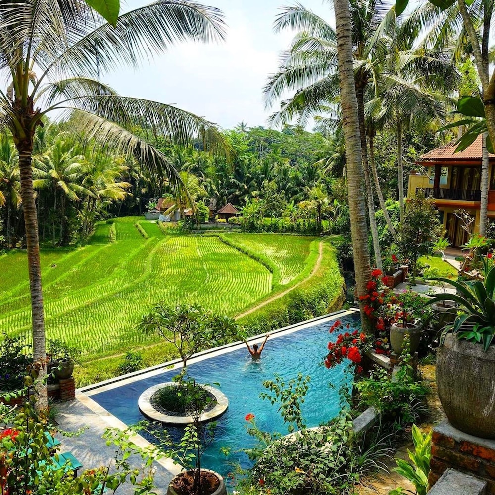 Uma Sari Rice Terrace 44/50