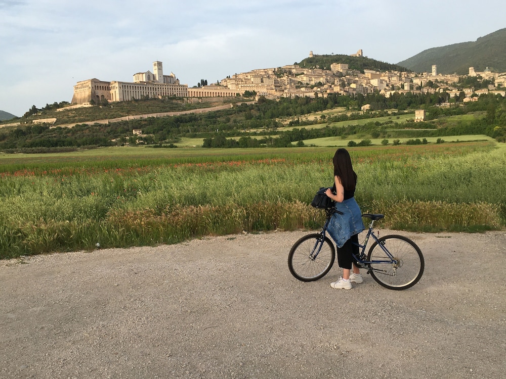 Il Giardino Degli Angeli 22/50