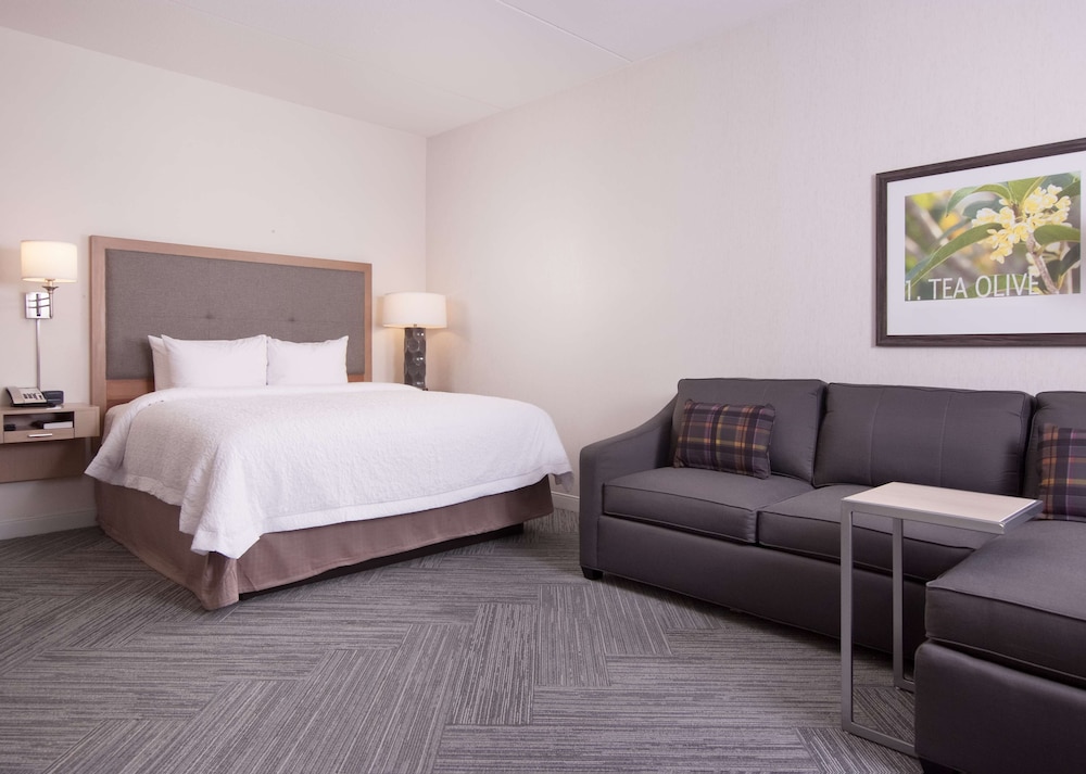 ROOM, KING BED, SOFA