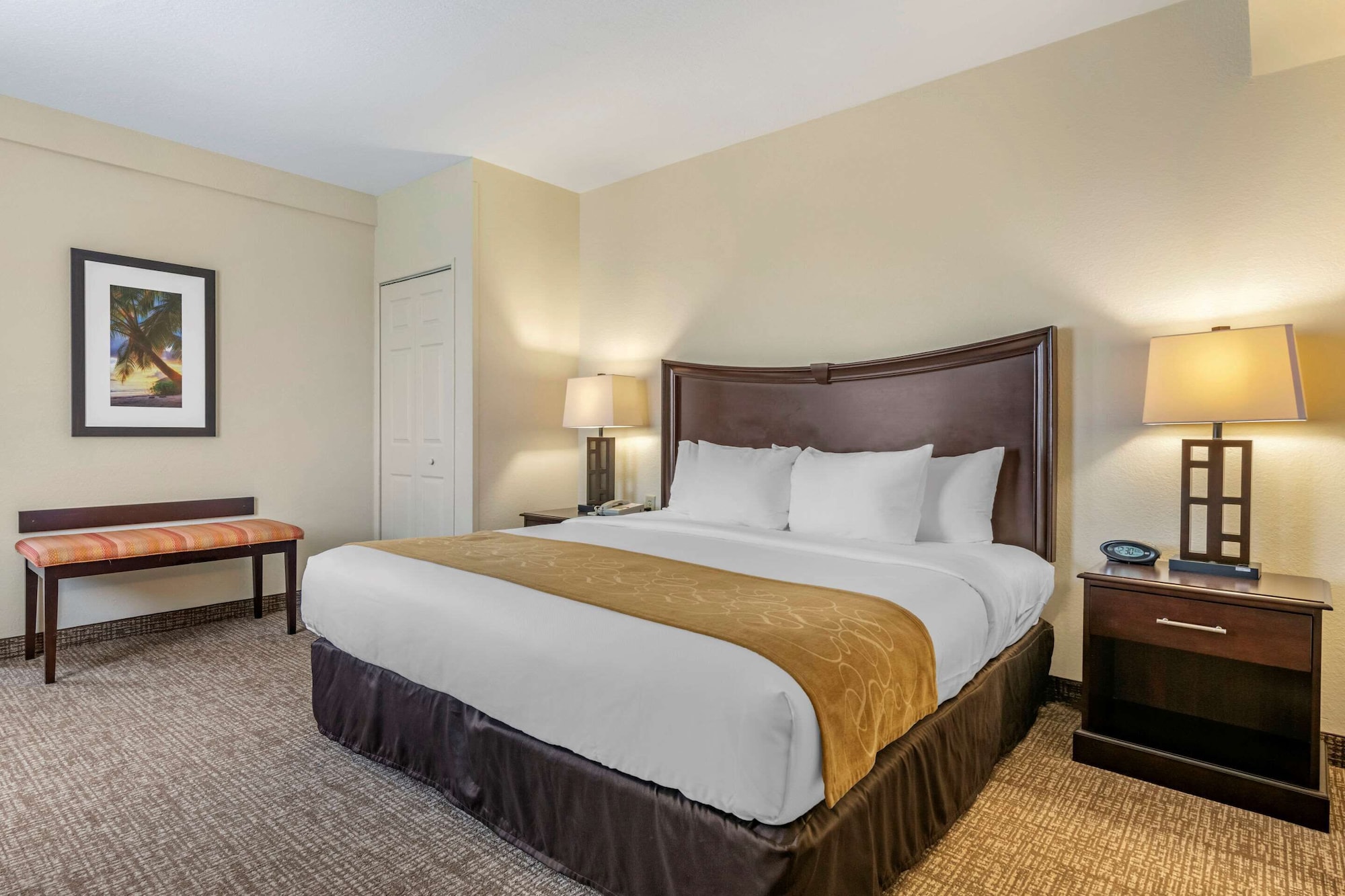 1 Bedroom, Suite, King Bed, 2 Bathrooms, Sofa, Accessible