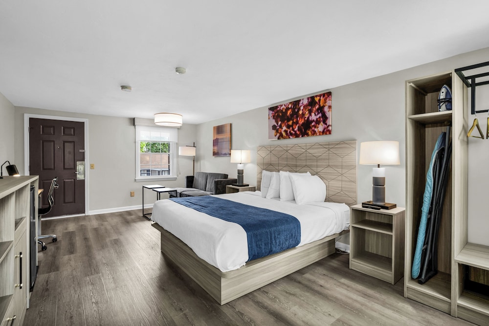 Exclusive, Studio, Suite, King Bed, Sofa