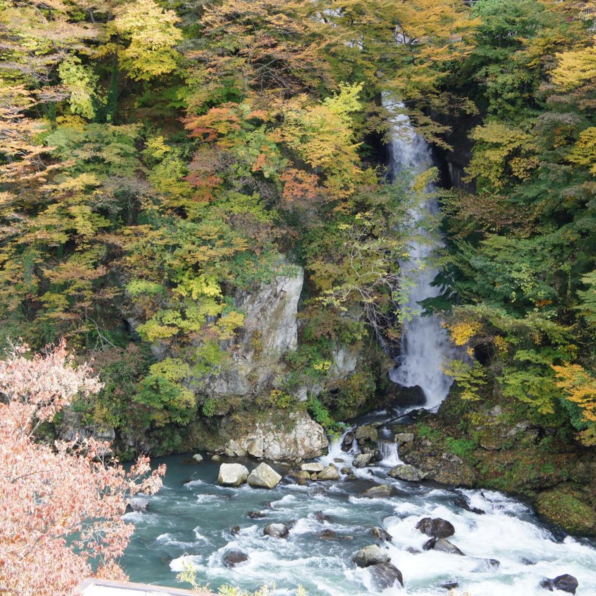 Kinugawa Onsen Hotel Shirakawa Yunokura 51/53