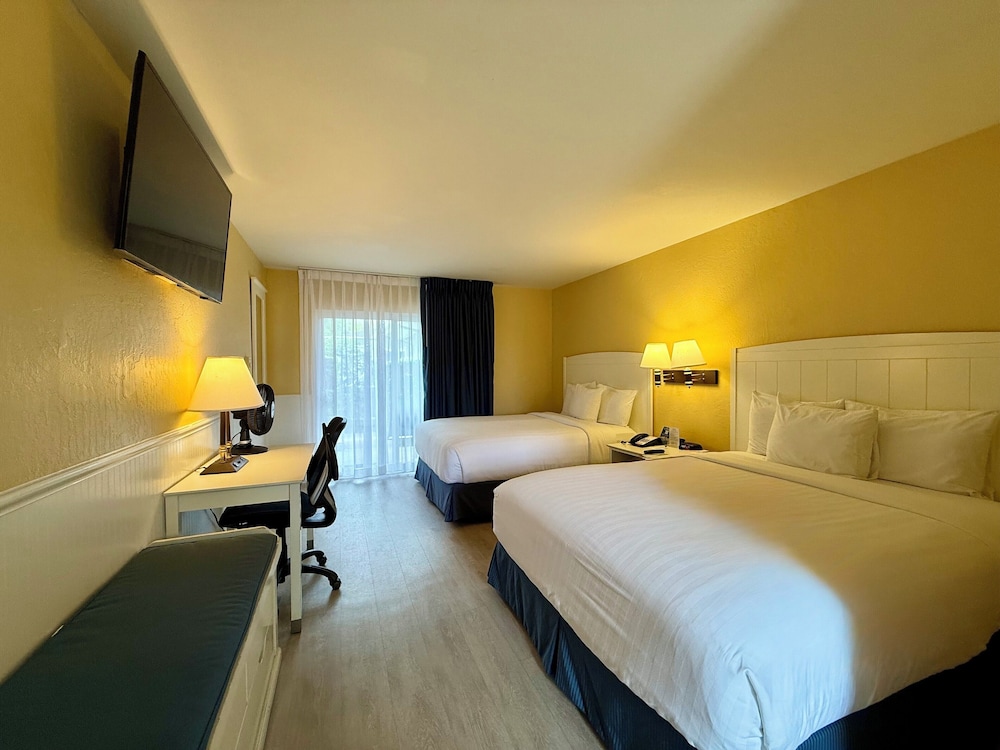 2 BEDROOMS, SINGLE