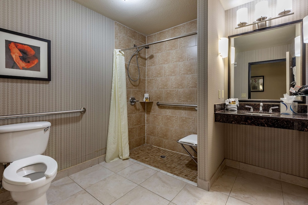 Best Western Plus Dfw Airport West Euless 16/41