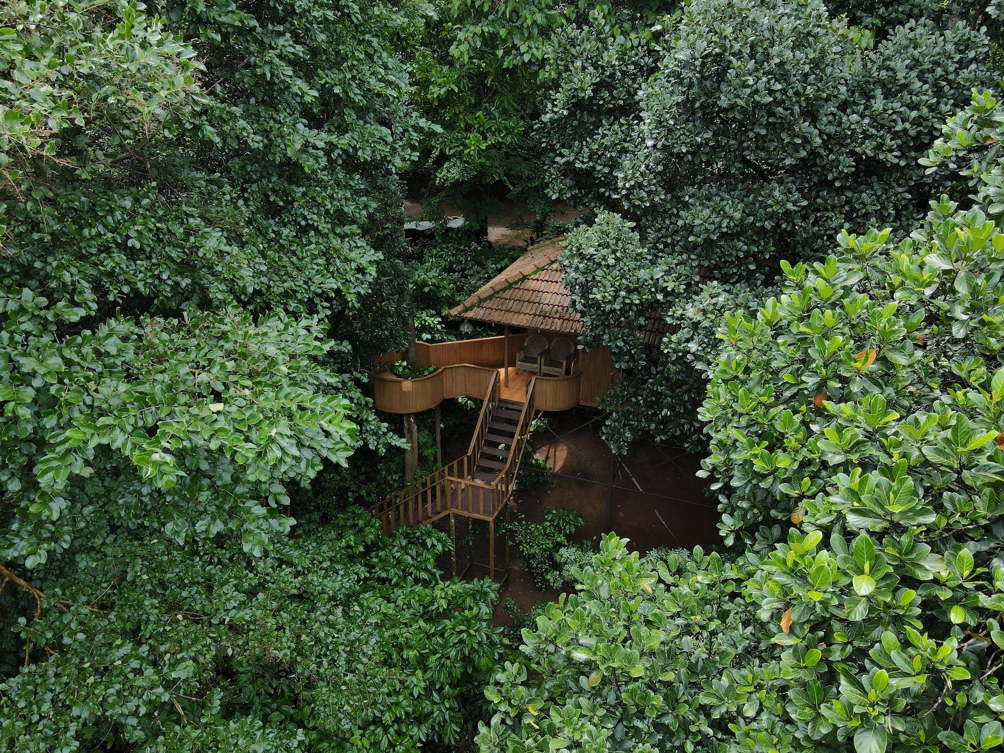 PLANET GREEN PLANTATION RESORTS 34/55