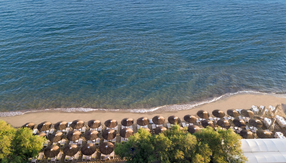 Golden Star City Resort 46/50