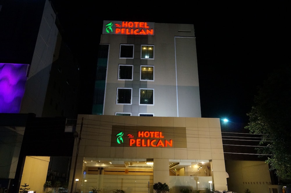 THE PELICAN 1/18