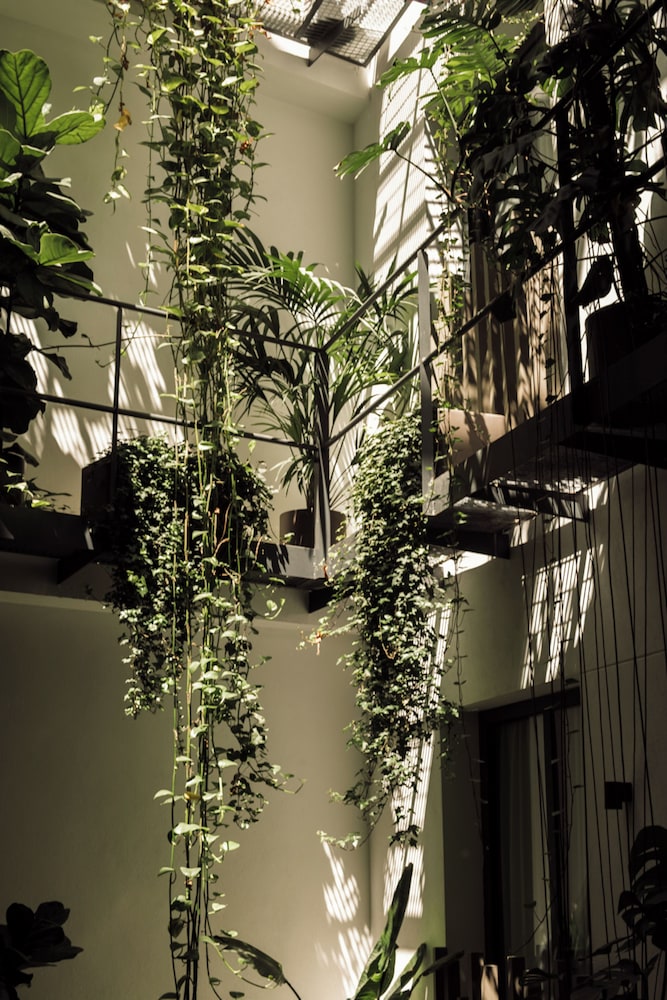 Hotel Well and Come Malaga 47/50