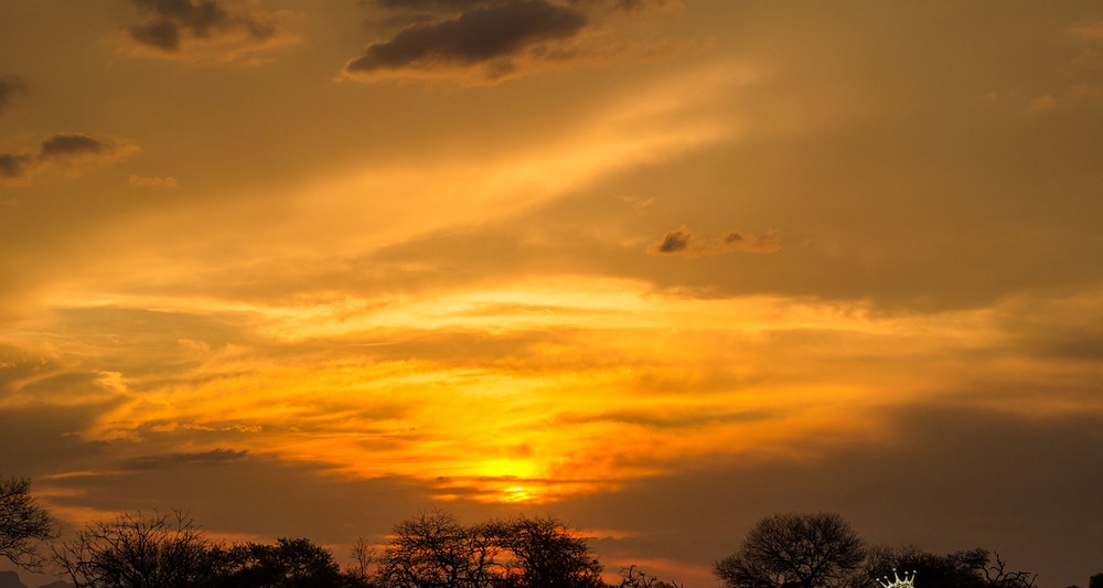 Elandela Private Game Reserve And Luxury Lodge 45/50