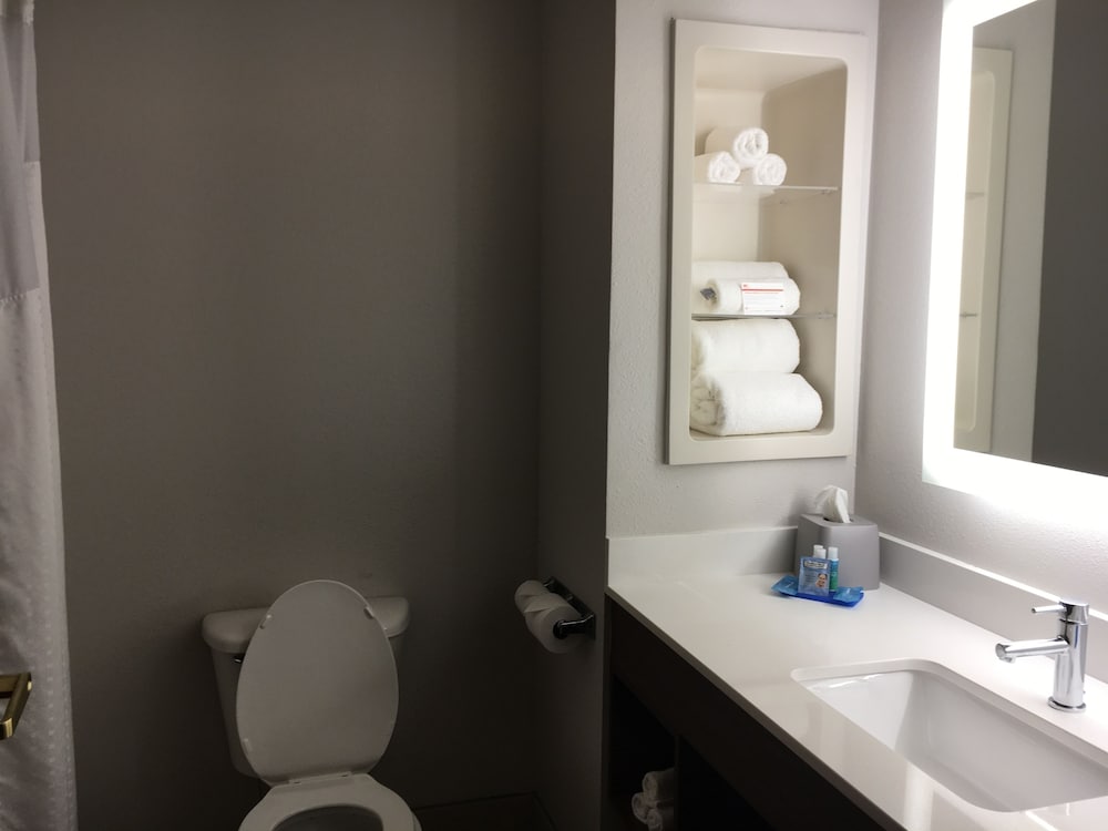 Holiday Inn Express Hotel Suites Thomasville 14/40