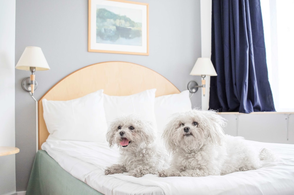 Best Western Eurostop Orebro 27/49