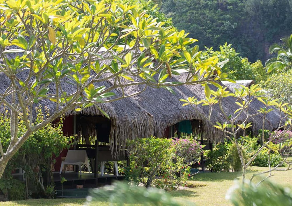 Hotel Hibiscus 40/75