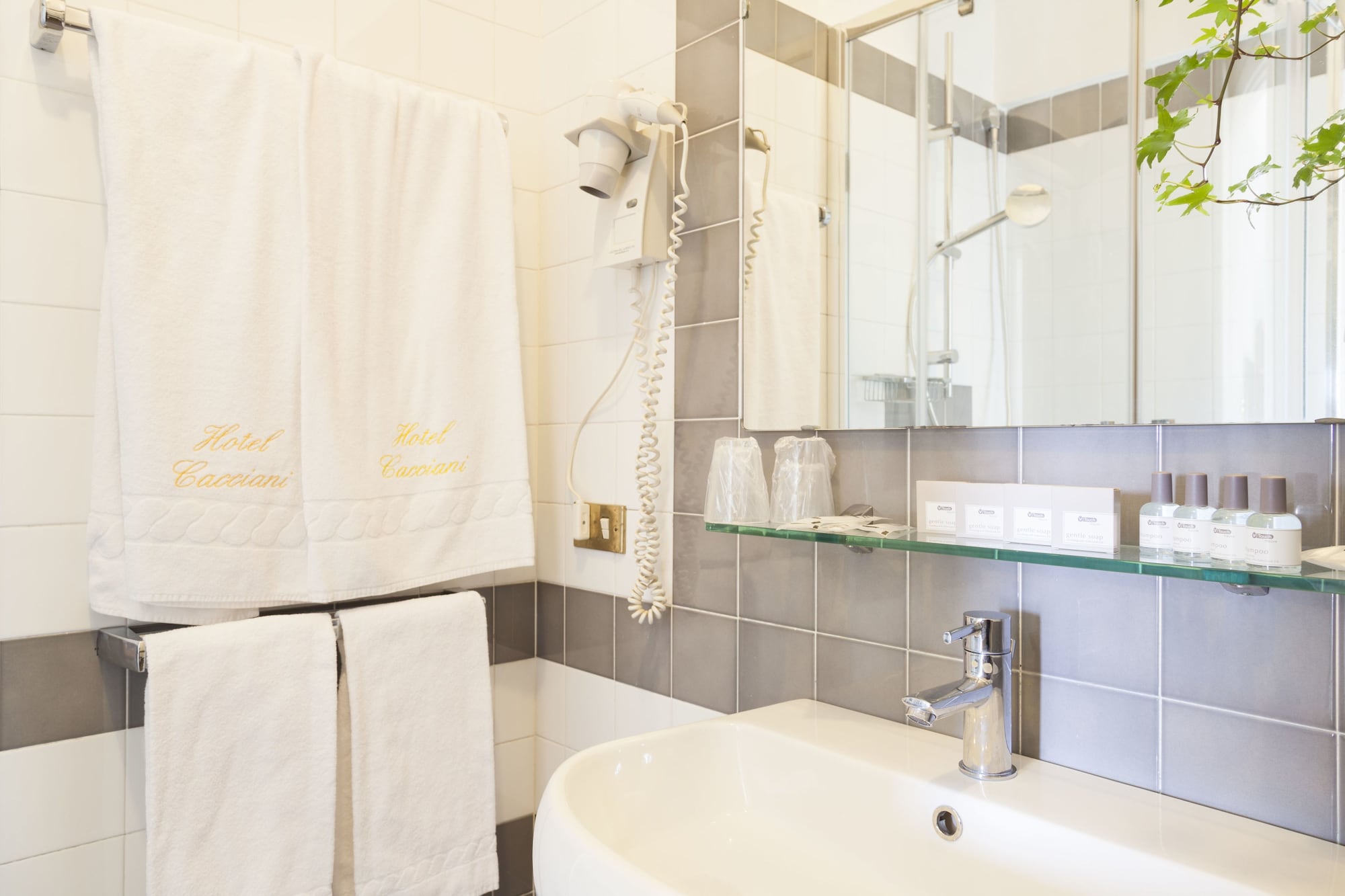 غرفة قياسية مفردة بسرير كينج، Cacciani Hotel 5/5