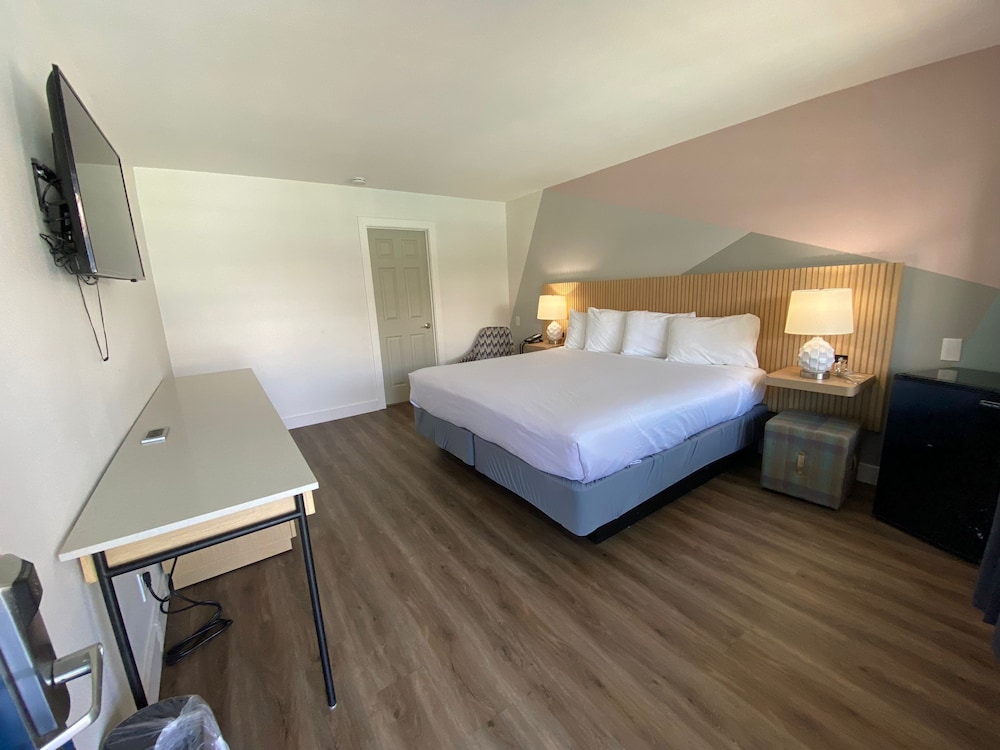 Salt Air Lodge 24/50