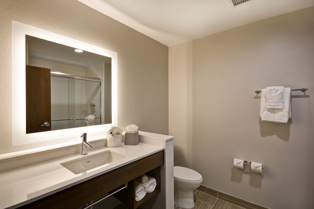 Holiday Inn Express & Suites Houston NASA - Boardwalk Area 24/57
