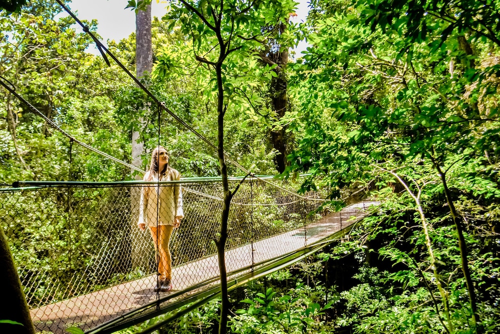 Monteverde Luxury Hotel 34/67