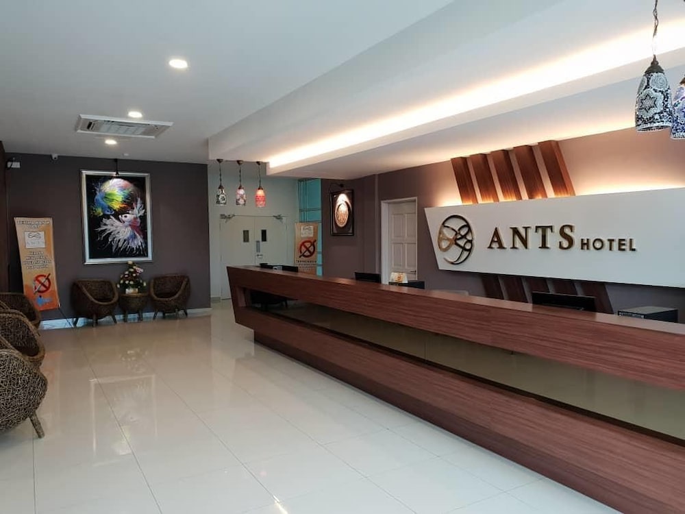 Ants Hotel 2/28
