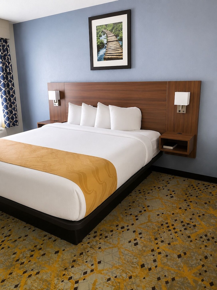Holiday Lodge Hotel &amp; Conference Center 16/50