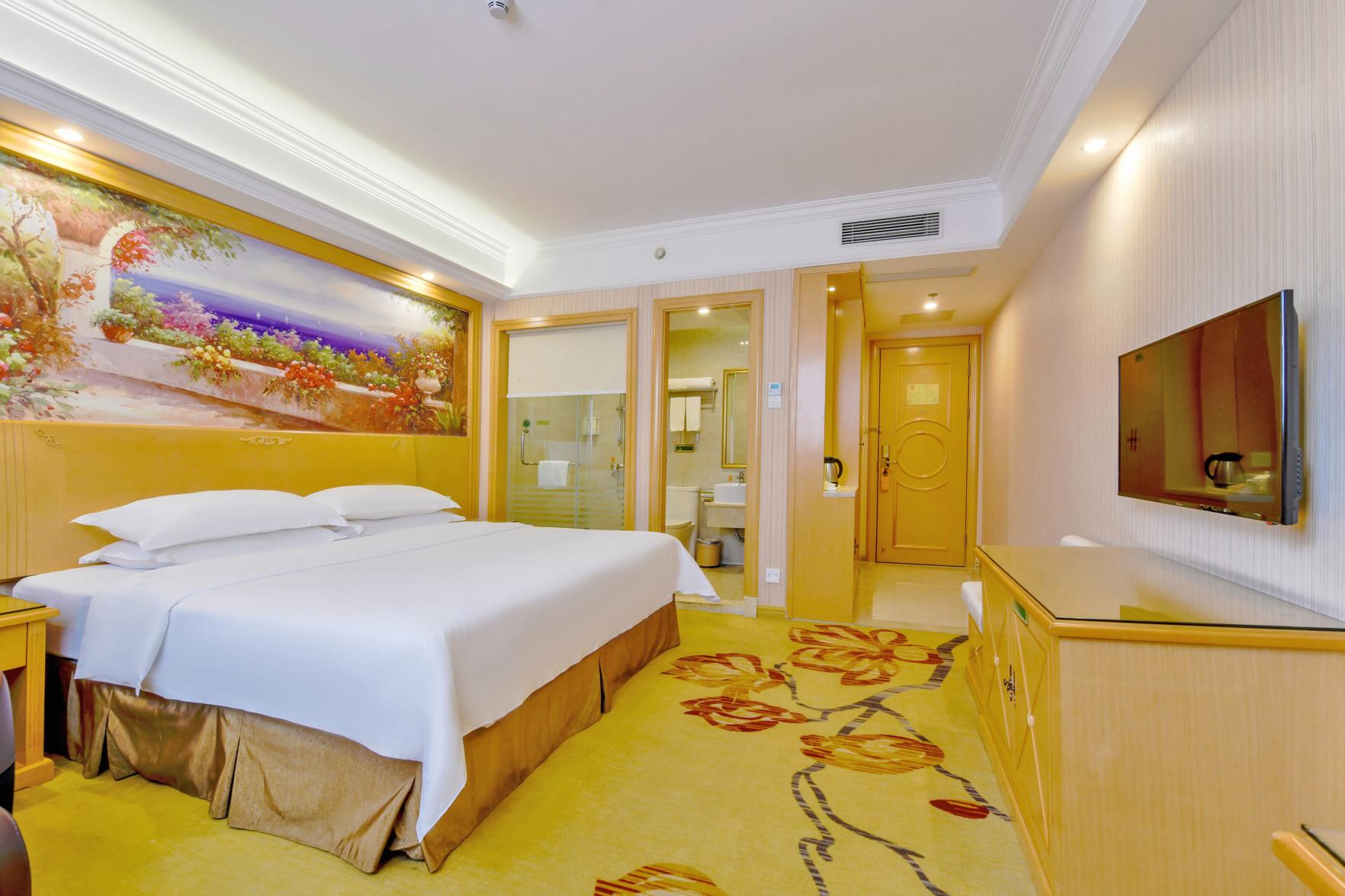 Vienna Hotel (Shenzhen Bantian Vanke Diwuyuan) 18/49