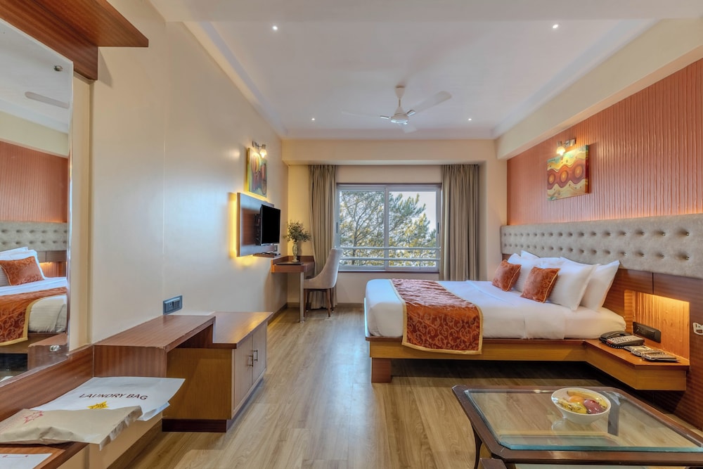 غرفة ديلوكس بسرير مزدوج، Hotel President 4/10